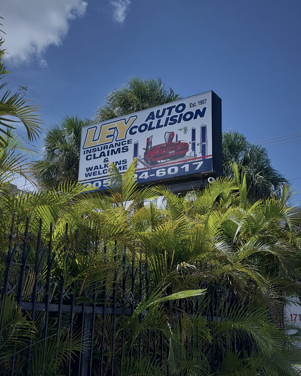 The LEY Auto Collision street sign above palms and an iron fence on NW 17th Avenue